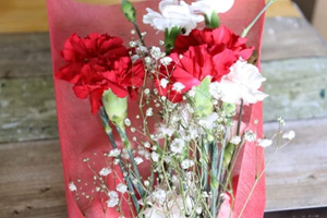 Amazon 母の日お花 第1位 人気No.1 母の日カーネーション花束(生花)の商品画像